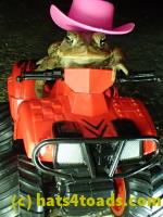 /home//u458753944/public_html/sourcegallery///////////////////////Roxborough Toad Detour/2013-2019/2017/P3250666.JPG